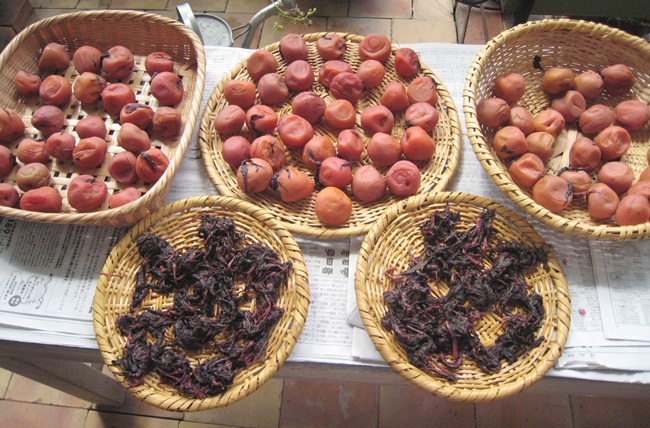 Sau đó, quả được phơi dưới ánh nắng mặt trời vài ngày. Sau quá trình này, mơ lại được cho vào ngâm tiếp với nước để chín trong vài tháng đến vài năm.