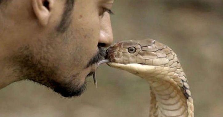 Ấn Độ chiếm một nửa số người chết vì rắn cắn mỗi năm trên thế giới.
