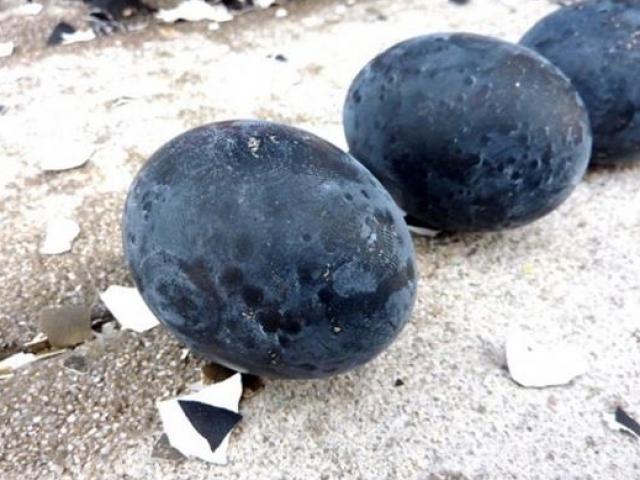 Thị trường - Tiêu dùng - Loại trứng đen như than mà bán vẫn cháy hàng