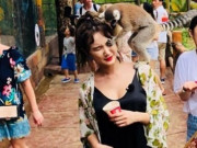 Hoa hậu... cũng có nguồn gốc từ khỉ?