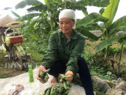 Thị trường - Tiêu dùng - Trồng loại quả tên nghe nặng nề nhưng ăn lại mát tận ruột gan