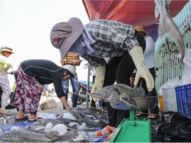 Thị trường - Tiêu dùng - Người dân TP HCM chen nhau mua cá tầm bị ngộp nước