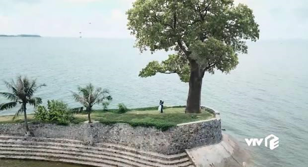 Khung cảnh Vũ cầu hôn Thư lãng mạn bên cây cổ thụ ở gần biển xuất hiện trong tập cuối
