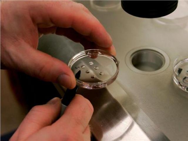 Thế giới - Mỹ: Cô gái tặng bộ xét nghiệm DNA cho bố mẹ, không ngờ đưa cả gia đình vào "ác mộng"