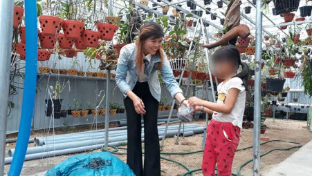 Chị Trúc chăm sóc vườn lan của mình với hy vọng có thể bán được nhiều giò lan để nuôi các con khôn lớn. Ảnh: Đức Huy