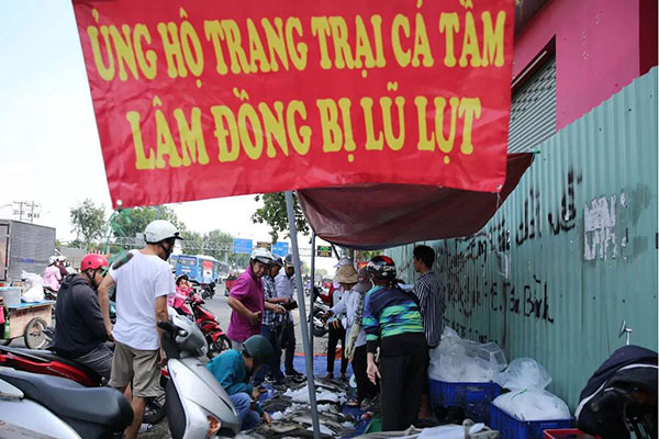 Vài ngày trở lại đây, trên đường Trường Chinh, quận Tân Bình, TP HCM xuất hiện vài điểm bán cá tầm treo bảng "Ủng hộ trang trại cá tầm Lâm Đồng bị lũ lụt". 