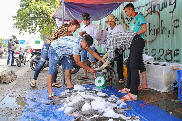 Một người khách đến mua ủng hộ 10 kg cá tầm, anh cho biết dù mình ăn chay nhưng vẫn mua để ủng hộ bè cá bị lũ ở Lâm Đồng.