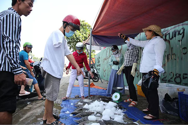 Anh Minh Thành, người bán cá tầm tại đây, cho biết do cá đã bị ngộp nước nên lấy về bán rẻ vừa ủng hộ người nuôi vừa kiếm thêm được chút thu nhập