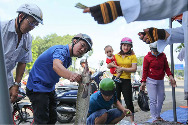 Ước tính số lượng mang xuống đây vào khoảng 20 tấn cá. Người bán cho biết trong hai ngày đầu đã bán được hơn 1 tấn cá.