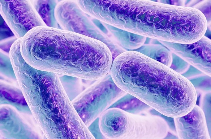 Vi khuẩn Clostridium difficile đang tiến hóa thành 2 loài mới, trong đó có một loài vô cùng đáng sợ, ưa tấn công người hảo ngọt và đe dọa tạo ra một "siêu bệnh" mới