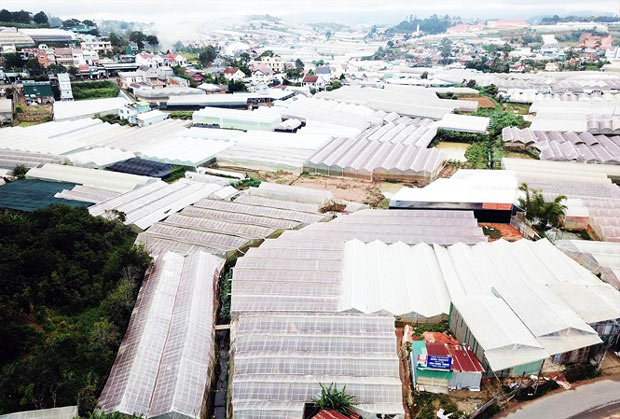 Nhà kính dày đặc ở nơi từng là hồ nước mênh mông