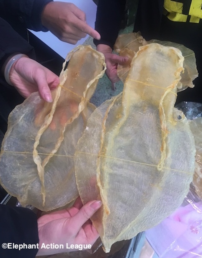 Theo &nbsp;cơ quan bảo vệ môi trường liên bang Mexico, bong bóng cá totoaba có thể có giá trị tới 60.000 USD/kg &#40;~1,39 tỷ đồng&#41; trên thị trường chợ đen.