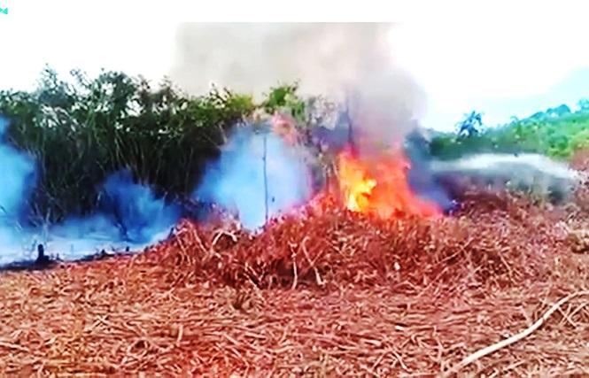 Vụ cháy người dân cố tình gây ra khi đốt thực bì vùng trồng keo tràm, dù trước đó đã bị ngăn cản