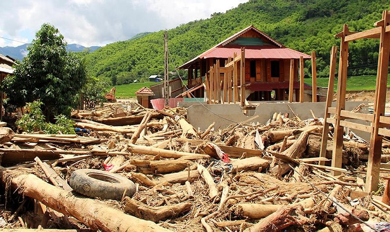 Gỗ tràn lan ở Sa Ná từ đầu bản đến cuối bản