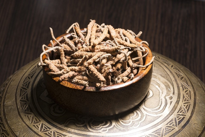 Công dụng bồi bổ sức khỏe của đông trùng hạ thảo với người cao tuổi - 2