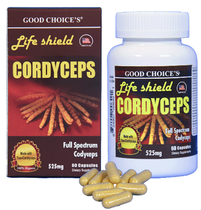 Công dụng bồi bổ sức khỏe của đông trùng hạ thảo với người cao tuổi - 5