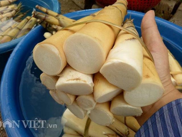 Thị trường - Tiêu dùng - Núi rừng Tây Bắc vào mùa măng lay mọc tua tủa, luộc cả vỏ