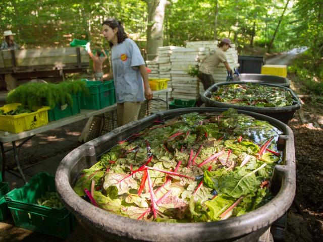 Thế giới - Hàng ngàn nông dân Mỹ điêu đứng giữa thiên tai và đòn nặng nhất của Trung Quốc
