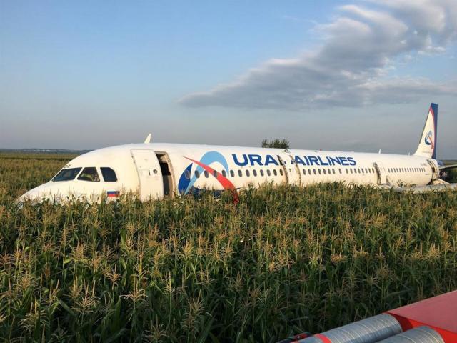 Máy bay chở khách Nga bị chim gây khốn giữa trời, 23 người bị thương