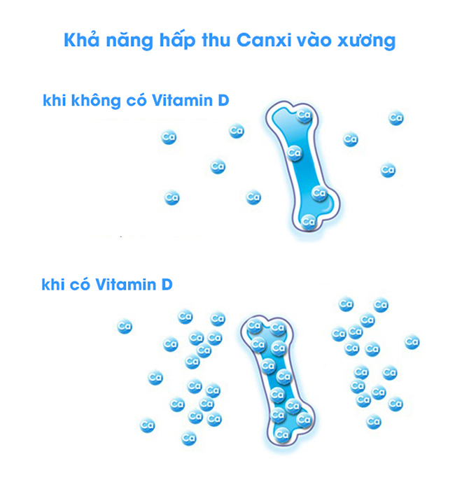 Nên bổ sung vitamin D trong bao lâu để trẻ thoát còi, tăng chiều cao? - 1