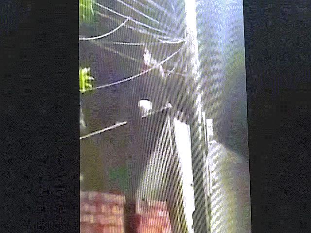 Tin tức trong ngày - Nhờ người đàn ông hàng xóm leo rào kêu cửa giữa đêm, cả nhà thoát họa sát thân