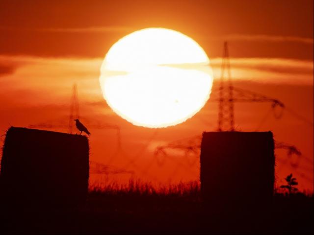 Thế giới - Chính thức: Thế giới trải qua tháng 7 nóng chưa từng thấy trong lịch sử