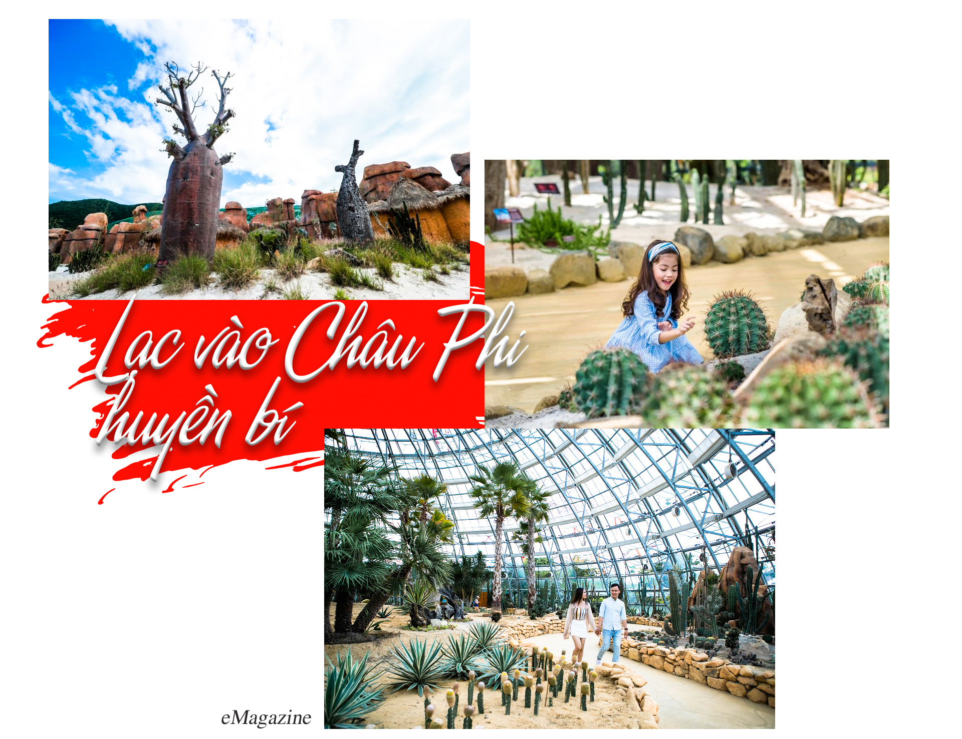 Khám phá khu vườn “kỳ hoa dị thảo” trên đảo kỷ lục tại Nha Trang - 7