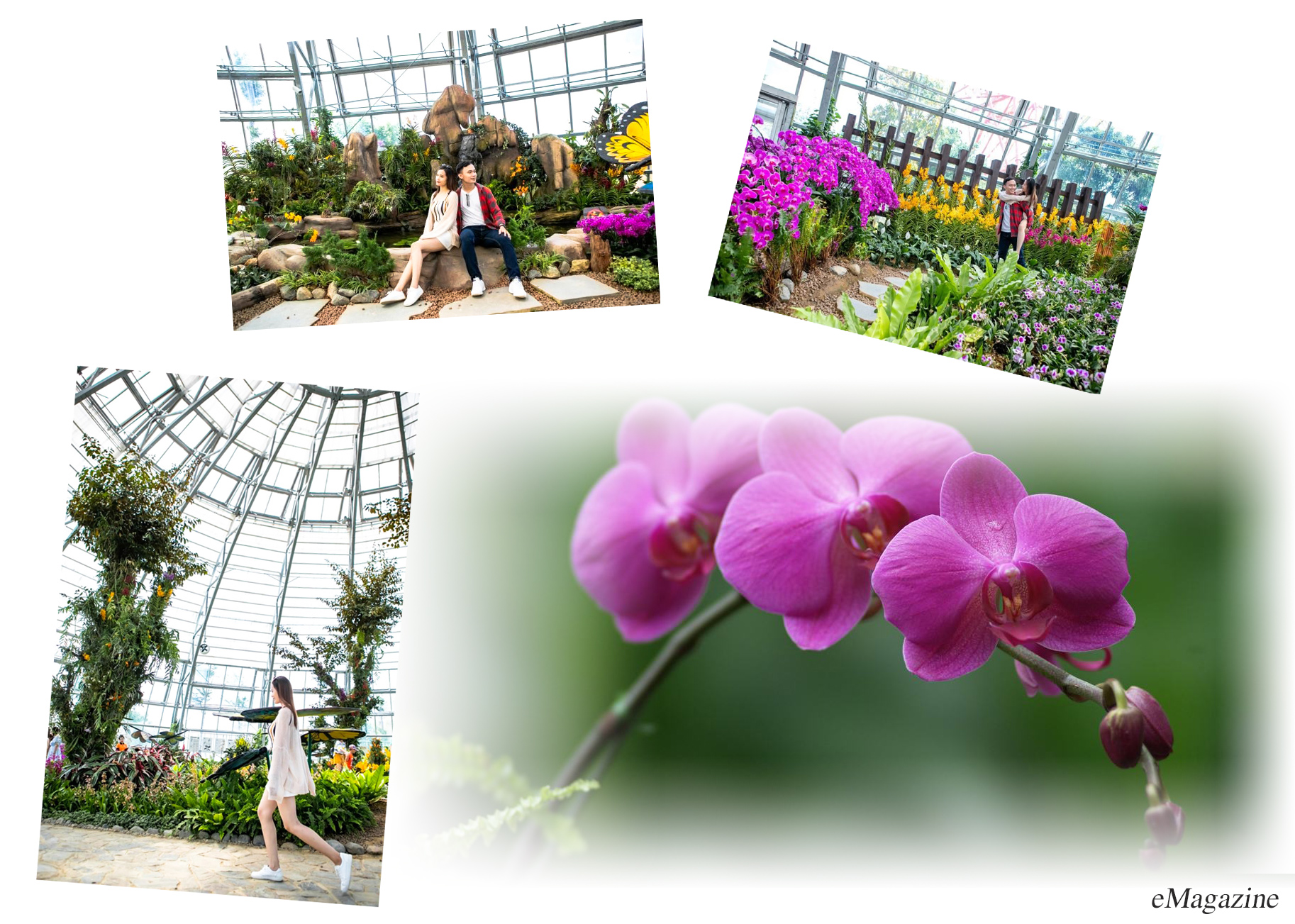 Khám phá khu vườn “kỳ hoa dị thảo” trên đảo kỷ lục tại Nha Trang - 11