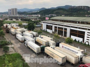 Thị trường - Tiêu dùng - Vì sao hàng trăm xe thanh long Việt Nam ùn ứ ở cửa khẩu?