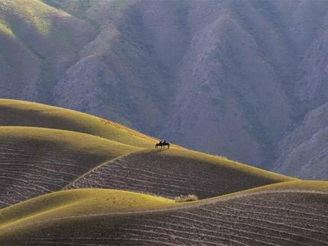 Du lịch - Mê mẩn với đồng cỏ đẹp như tranh tại Tân Cương