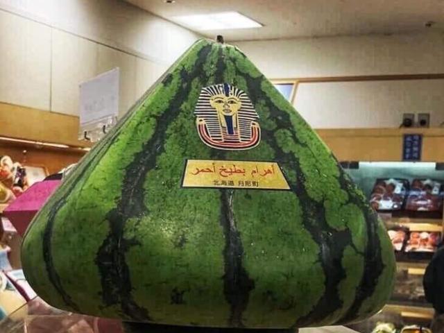 Thị trường - Tiêu dùng - Siêu phẩm dưa hấu hình kim tự tháp giá bằng cả 7 chỉ vàng 9999