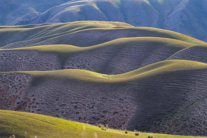 Mê mẩn với đồng cỏ đẹp như tranh tại Tân Cương - 4