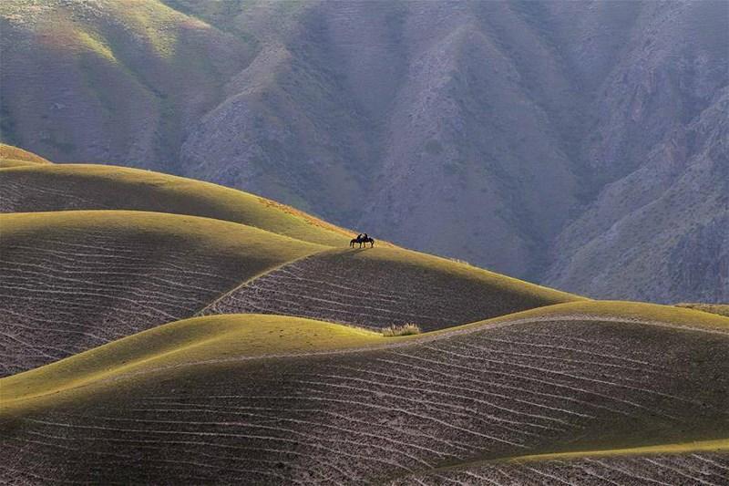 Cưỡi ngựa trên thảo nguyên luôn là khám phá, trải nghiệm khó quên với du khách.