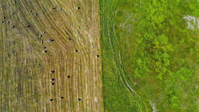 Mê mẩn với đồng cỏ đẹp như tranh tại Tân Cương - 7