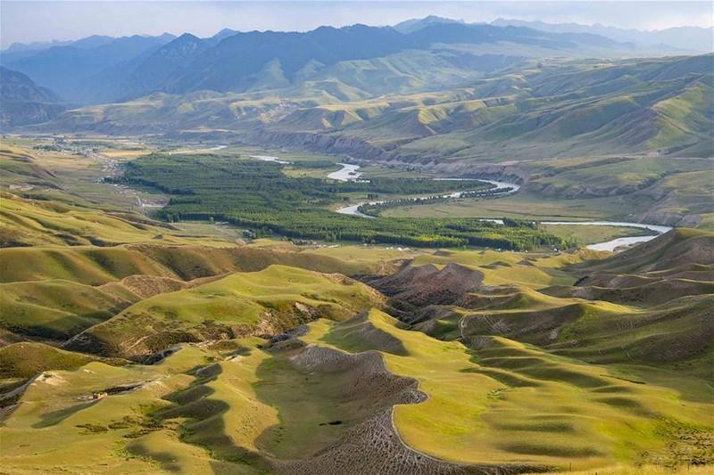 Một ốc đảo trù phú giữa thảo nguyên bao la.