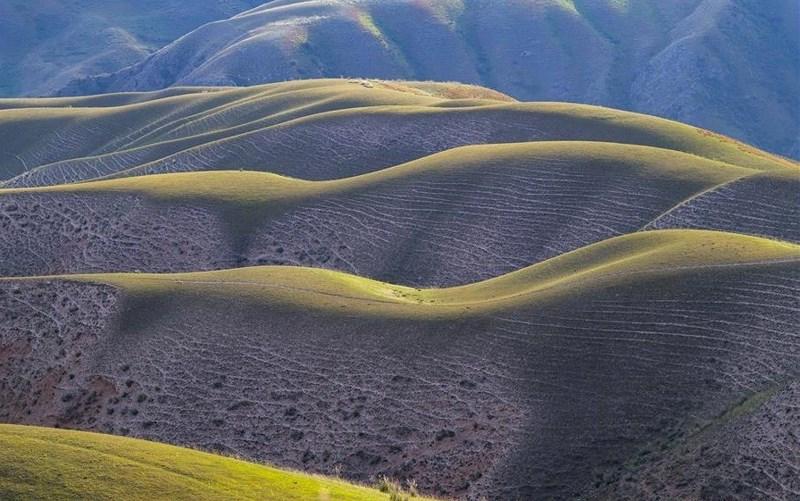 Mê mẩn với đồng cỏ đẹp như tranh tại Tân Cương - 14