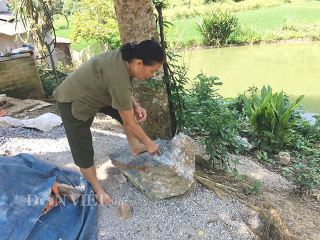 Bà Ánh cho biết, hộc đá này đã bị quăng xuống sân trong lần mỏ&nbsp;khai thác đá vôi Nà Cà&nbsp;nổ mìn đầu năm 2019, còn rất nhiều hộc đá nằm dưới ao, thậm chí bay qua cánh đồng, rơi xuống chân núi đối diện.