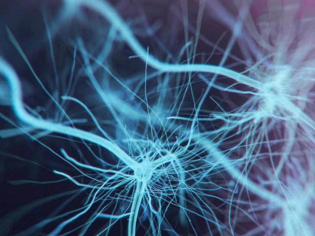 Sức khỏe đời sống - Phát hiện cơ quan mới trong… cơ thể người