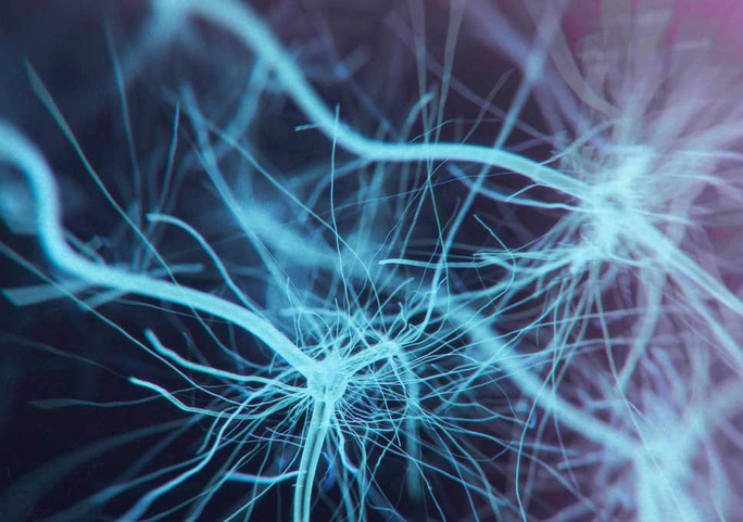 Cơ quan mới trong cơ thể người mang hình dạng một tấm lưới mỏng khổng lồ ẩn dưới da - ảnh minh họa từ INDEPENDENT