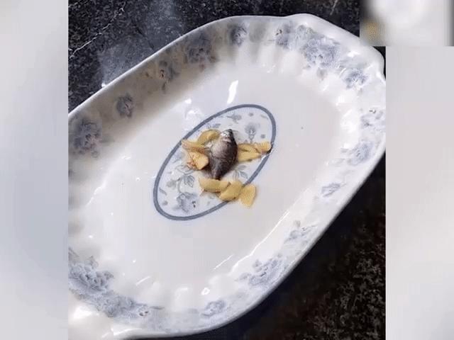 Video Clip Cười - Bữa ăn ngày cuối tháng chỉ có sinh viên mới thấu hiểu