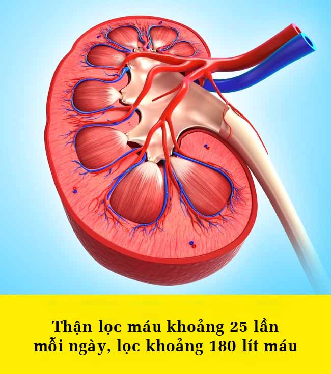 15 điều bất ngờ về cơ thể khiến bạn không thể tin được - 10