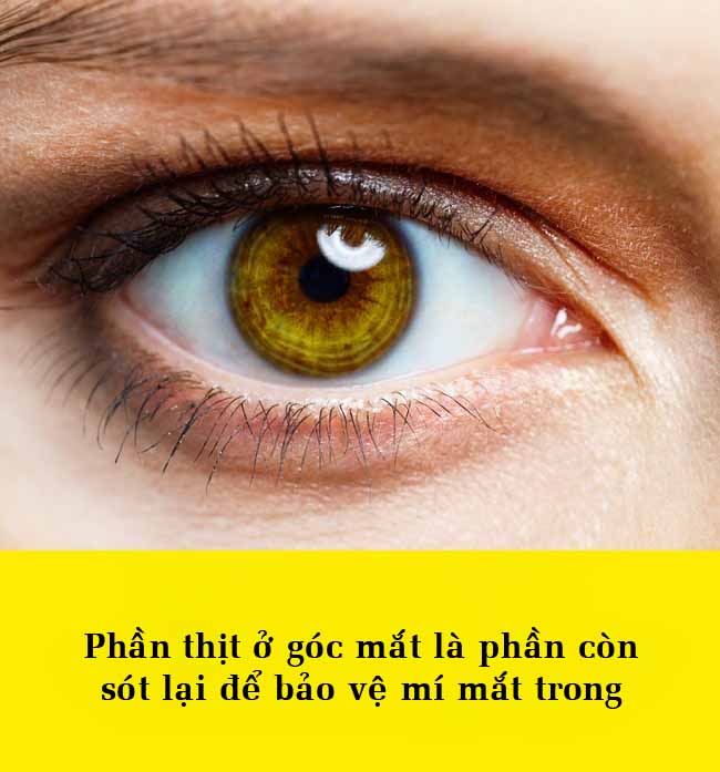 15 điều bất ngờ về cơ thể khiến bạn không thể tin được - 11