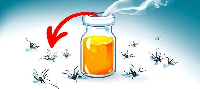 11 cách diệt muỗi trong nhà cực đơn giản chống dịch sốt xuất huyết - 11