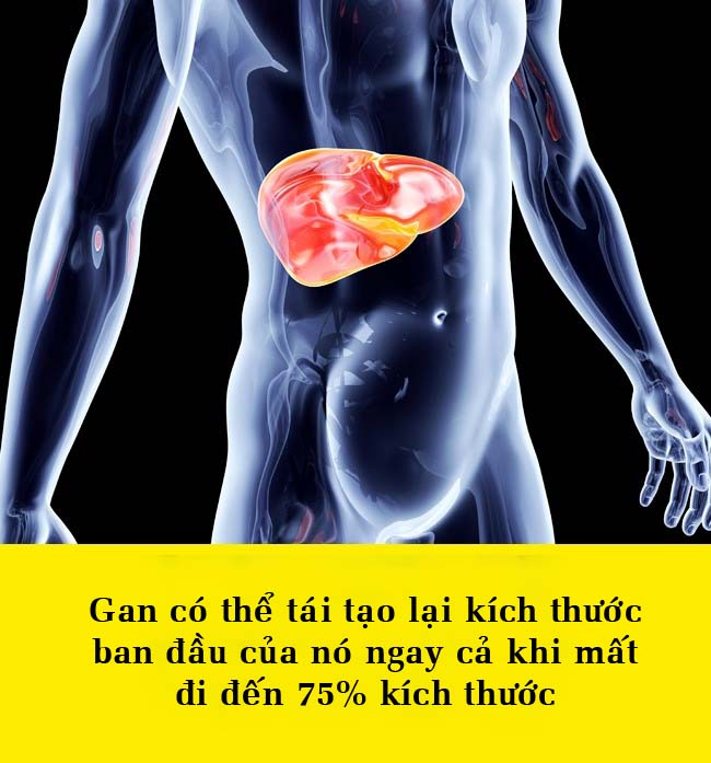 15 điều bất ngờ về cơ thể khiến bạn không thể tin được - 12