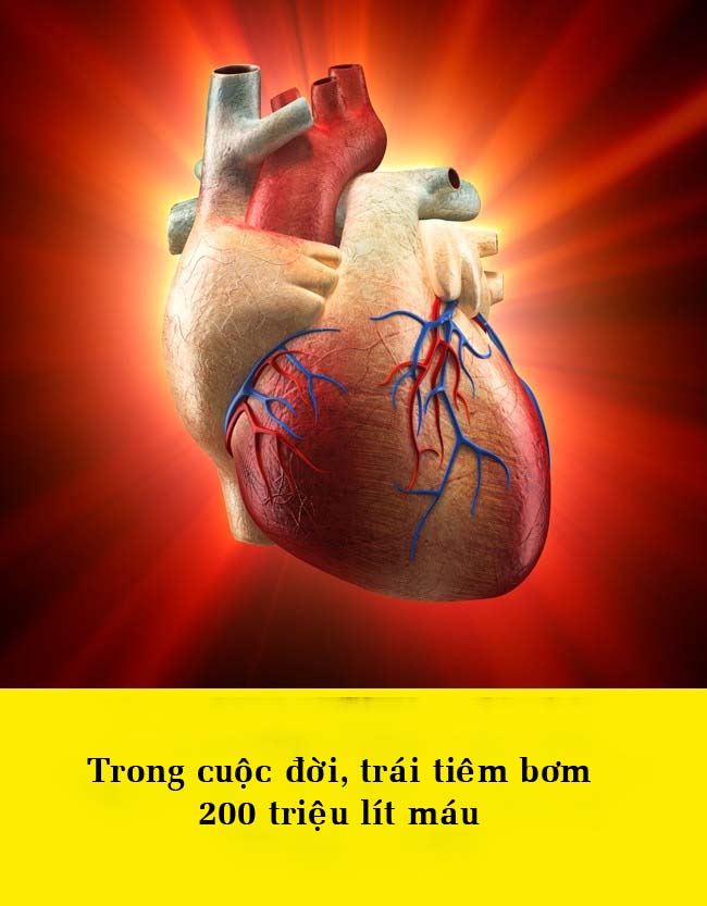 15 điều bất ngờ về cơ thể khiến bạn không thể tin được - 15