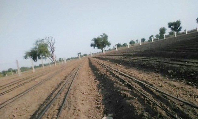 Ban đầu, Deepak phải kiểm tra xem đất ở nơi anh định trồng có phù hợp hay không. Với đất trồng dâu tây, độ pH ở mức 7.