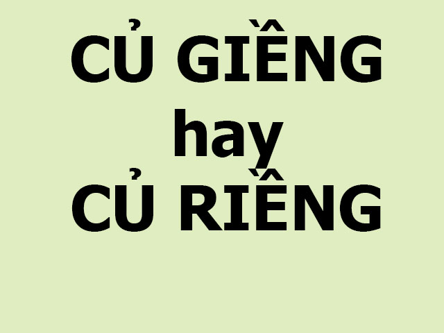 Giáo dục - du học - Ngày nào cũng dùng nhưng chưa chắc bạn đã biết từ này viết thế nào cho đúng