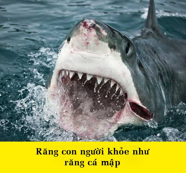 15 điều bất ngờ về cơ thể khiến bạn không thể tin được - 2