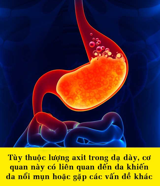 15 điều bất ngờ về cơ thể khiến bạn không thể tin được - 3