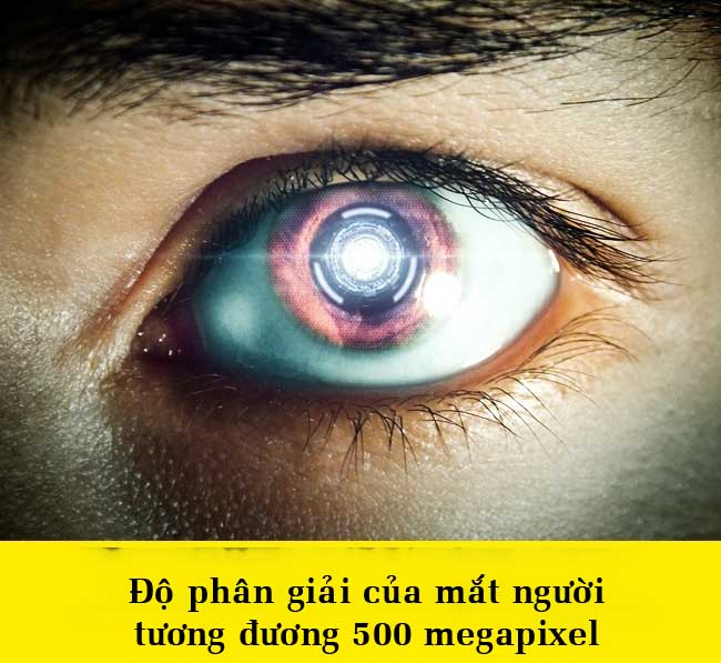 15 điều bất ngờ về cơ thể khiến bạn không thể tin được - 6